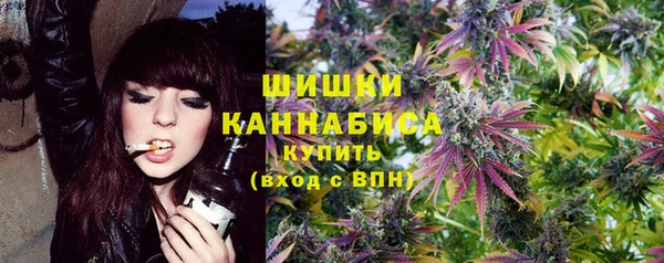 Альфа ПВП Ельня
