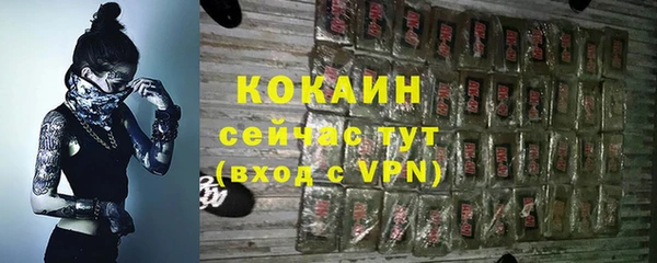 Альфа ПВП Ельня